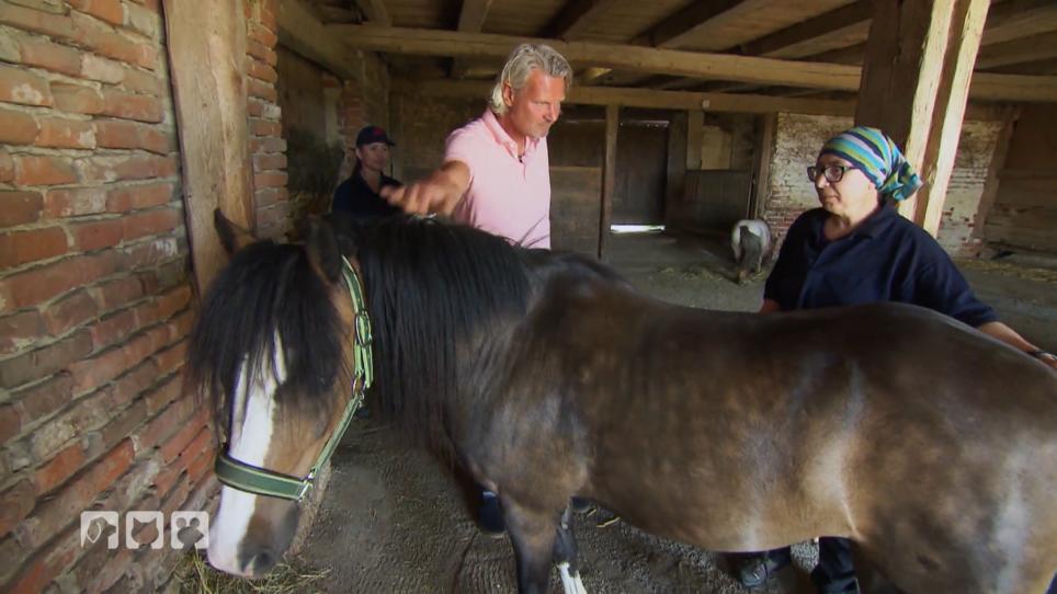 Frank Weber möchte tolle Tiere vermitteln Frank Weber möchte tolle Tiere vermitteln