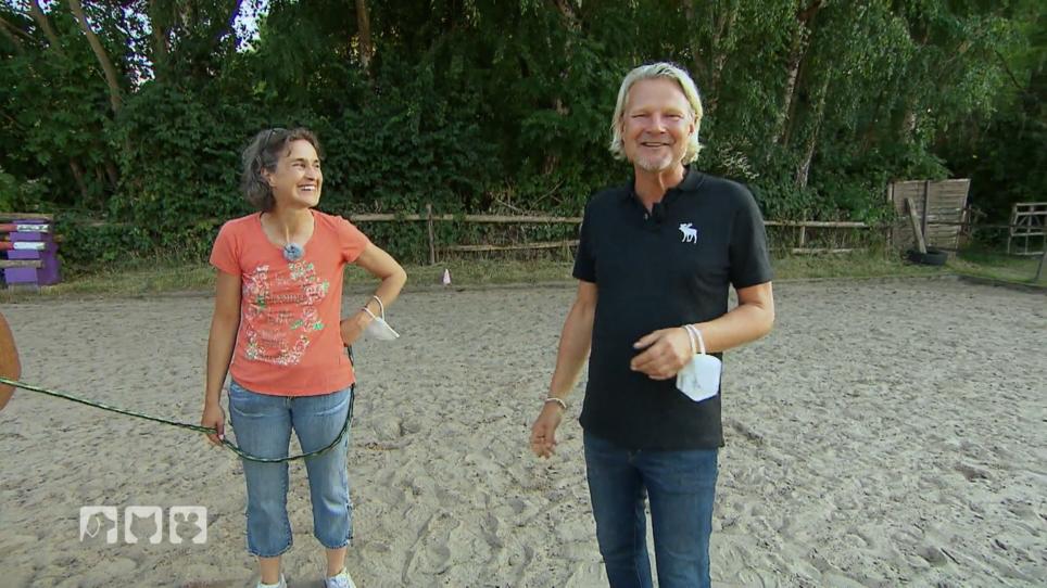 Frank Weber hat die Pferde gut untergebracht Frank Weber hat die Pferde gut untergebracht