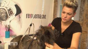 Tierheimhund Ugo ist ein schwieriger "Kunde" Tierheimhund Ugo ist ein schwieriger "Kunde"