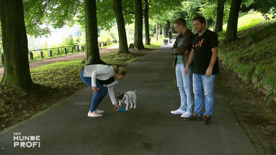 Kann Gretel den Versuchungen des Waldes widerstehen? Kann Gretel den Versuchungen des Waldes widerstehen?