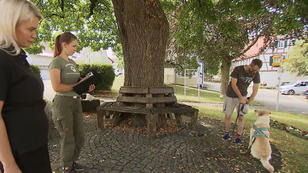 Eine Sachverständige geht Nalas Verhalten auf den Grund Eine Sachverständige geht Nalas Verhalten auf den Grund