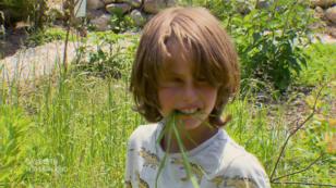 Ausgewogene Ernährung durch rohes Gras und Pflanzen? Ausgewogene Ernährung durch rohes Gras und Pflanzen?