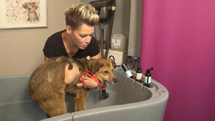 Yaroo muss erst mal in die Badewanne Yaroo muss erst mal in die Badewanne