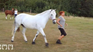 Diana macht sich ein Bild vom Joggen mit Pferd Diana macht sich ein Bild vom Joggen mit Pferd