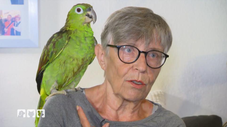 Rentnerin Verena muss sich von ihrer Polly trennen Rentnerin Verena muss sich von ihrer Polly trennen