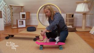 Für Cora geht es heute aufs Skateboard Für Cora geht es heute aufs Skateboard