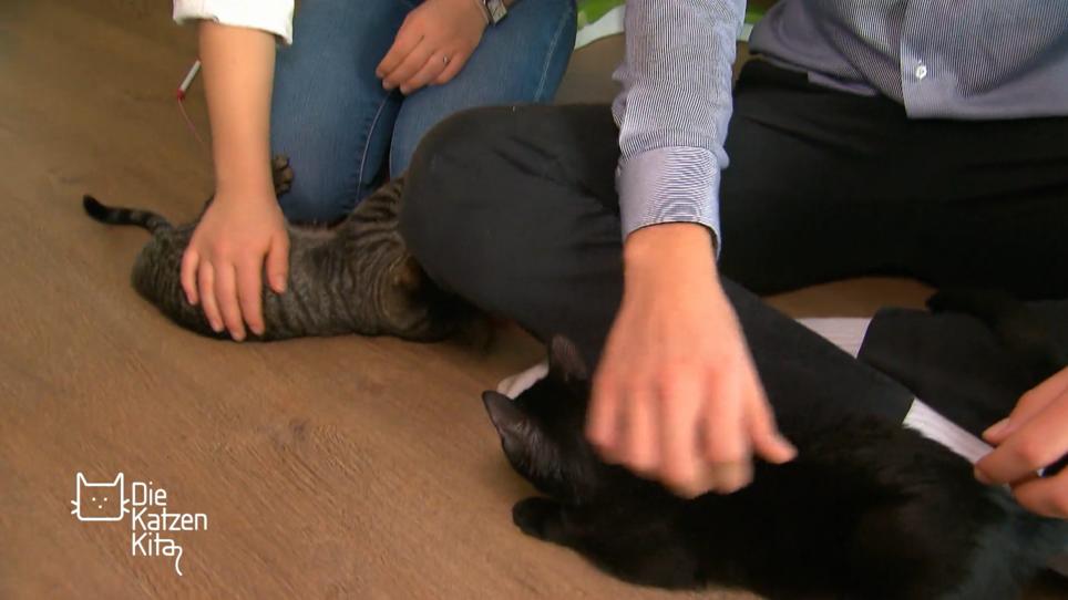 Wie geht es Amino & Luna bei ihrer neuen Familie? Wie geht es Amino & Luna bei ihrer neuen Familie?