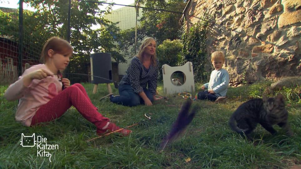 Die Katzen lernen heute Kinder kennen Die Katzen lernen heute Kinder kennen
