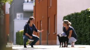 Elli ist mittlerweile wie ein neuer Hund Elli ist mittlerweile wie ein neuer Hund