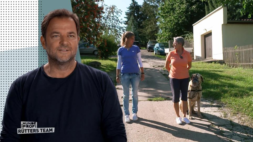 Seit Franzis letztem Besuch ist viel passiert Seit Franzis letztem Besuch ist viel passiert