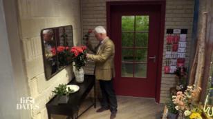 Peter schnappt sich eine Rose für Julia Peter schnappt sich eine Rose für Julia