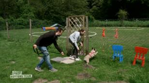 Bailey kommt im Hunde-Trainingsgelände bei Ellen Marques an Bailey kommt im Hunde-Trainingsgelände bei Ellen Marques an