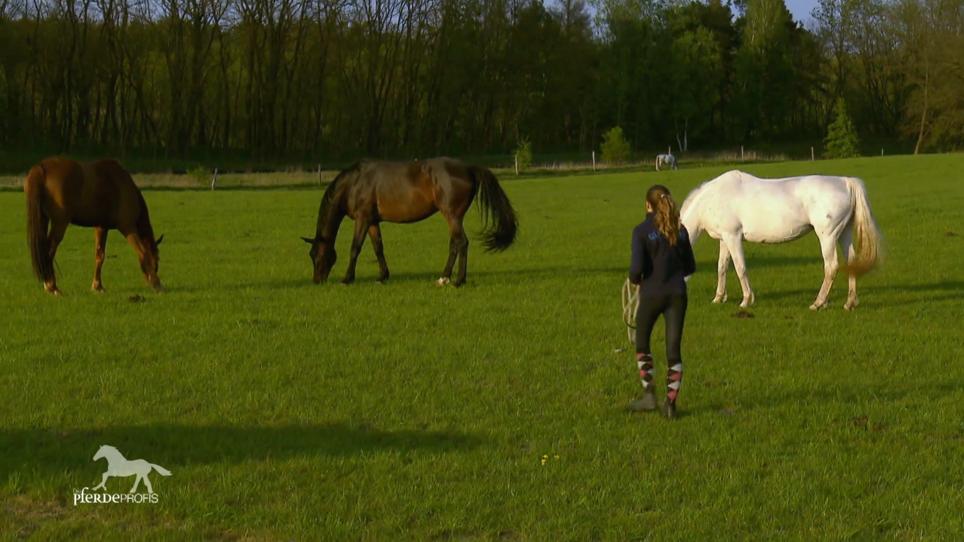 Jannika hat ein Problem mit Pferd Sally Jannika hat ein Problem mit Pferd Sally