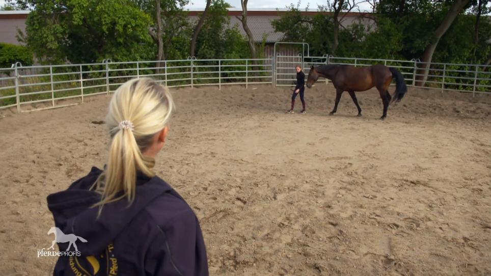 Der nächste Trainingsschritt: Roundpin Der nächste Trainingsschritt: Roundpin