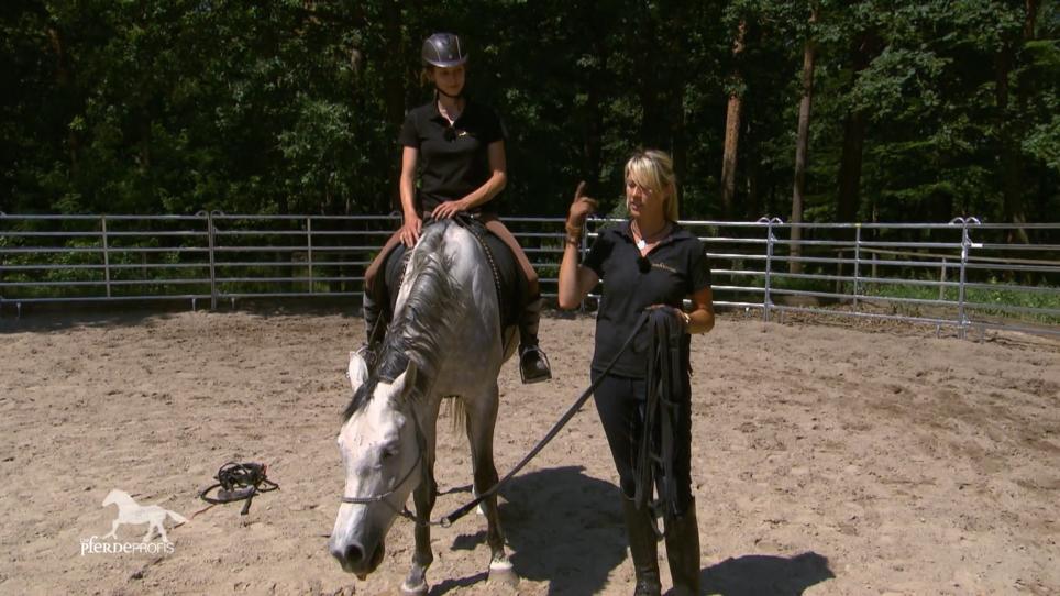 Katja erlebt Calimero beim Training entspannt Katja erlebt Calimero beim Training entspannt