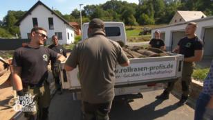 Rollrasen und vier schicke Jungs Rollrasen und vier schicke Jungs