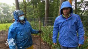Die Beet-Brüder trotzen dem nasskalten Wetter Die Beet-Brüder trotzen dem nasskalten Wetter