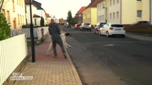 Kenzo ist aggressiv gegenüber anderen Hunden Kenzo ist aggressiv gegenüber anderen Hunden