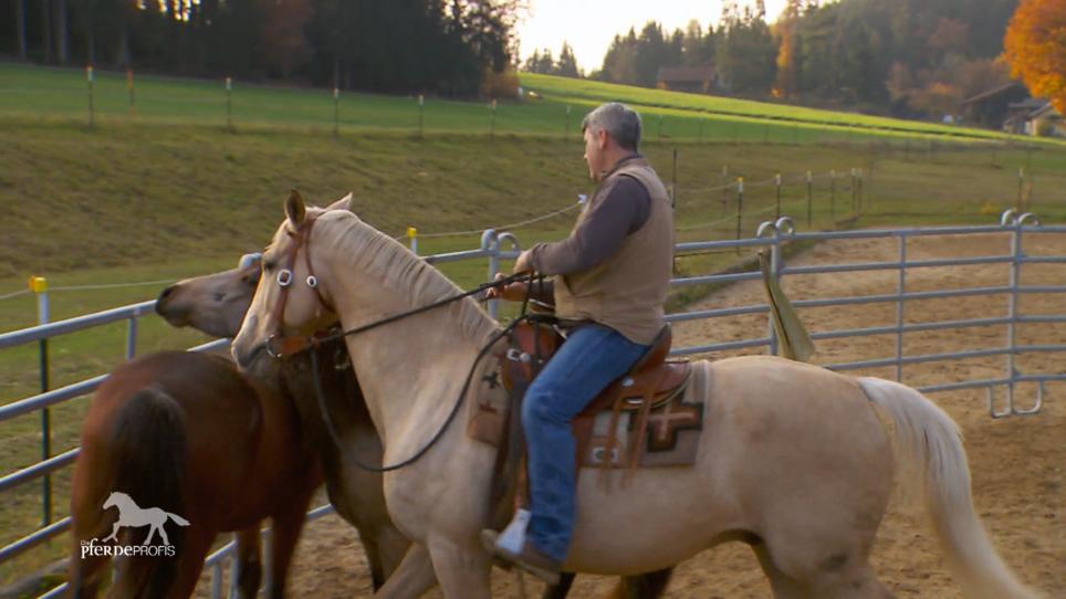 Für Palomino Pelgrim soll sich der Spieß umdrehen Für Palomino Pelgrim soll sich der Spieß umdrehen