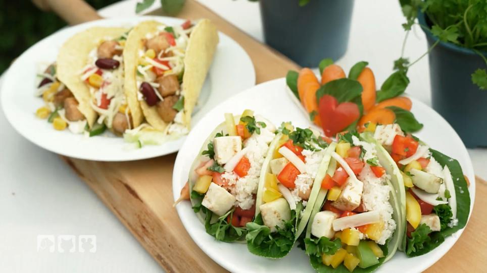 Diana testet Fast Food für Meerschweinchen Diana testet Fast Food für Meerschweinchen