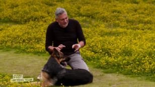 Butch macht große Fortschritte Butch macht große Fortschritte