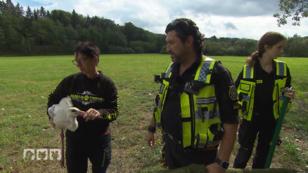 Das Dogman-Team macht sich Sorgen um einen Storch Das Dogman-Team macht sich Sorgen um einen Storch