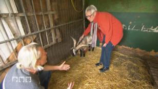 Frank Weber leidet mit Dina Appelbaum Frank Weber leidet mit Dina Appelbaum