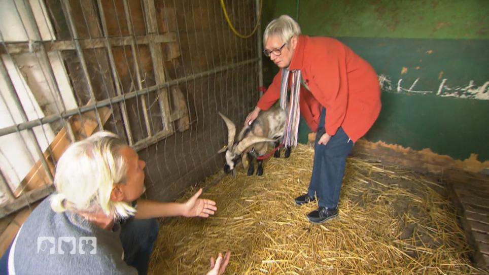 Frank Weber leidet mit Dina Appelbaum Frank Weber leidet mit Dina Appelbaum