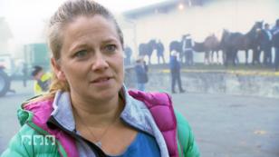 „4 Hufe im Glück“ rettet Fohlen vor dem Tod „4 Hufe im Glück“ rettet Fohlen vor dem Tod