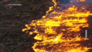 Der Amazonas stirbt immer schneller Der Amazonas stirbt immer schneller