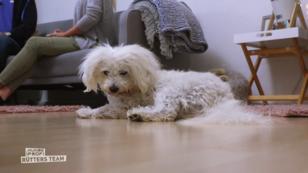 Frida hat die neue Situation akzeptiert Frida hat die neue Situation akzeptiert