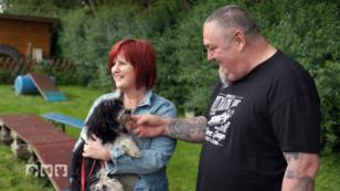 Welcher Hund erobert Thorstens Herz? Welcher Hund erobert Thorstens Herz?