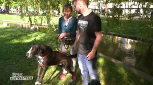Theo hat ein Problem mit Artgenossen und Katzen Theo hat ein Problem mit Artgenossen und Katzen