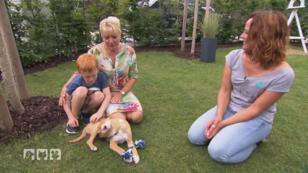Profi Kate Kitchenham coucht Familienhund "Joschi" Profi Kate Kitchenham coucht Familienhund "Joschi"