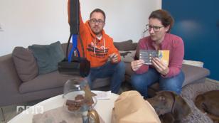 Was können die verrückten Hunde-Gadgets? Was können die verrückten Hunde-Gadgets?