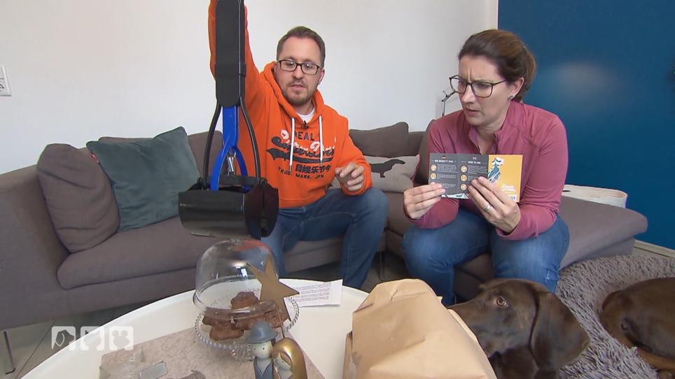 Was können die verrückten Hunde-Gadgets? Was können die verrückten Hunde-Gadgets?
