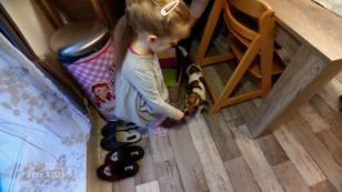 Ein Hund als Schwester und Kamele im Haus! Ein Hund als Schwester und Kamele im Haus!
