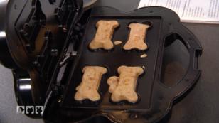 Wir testen einen Hundekeks-Maker Wir testen einen Hundekeks-Maker