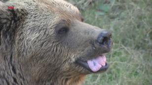 Horrorzoo schließt für immer Horrorzoo schließt für immer
