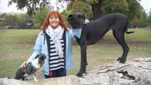 Gut gerüstet für den Job des Hundetrainers Gut gerüstet für den Job des Hundetrainers