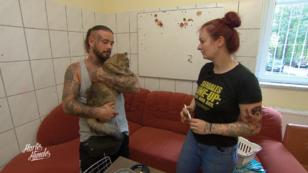 Stevie nimmt eine Fundkatze entgegen Stevie nimmt eine Fundkatze entgegen