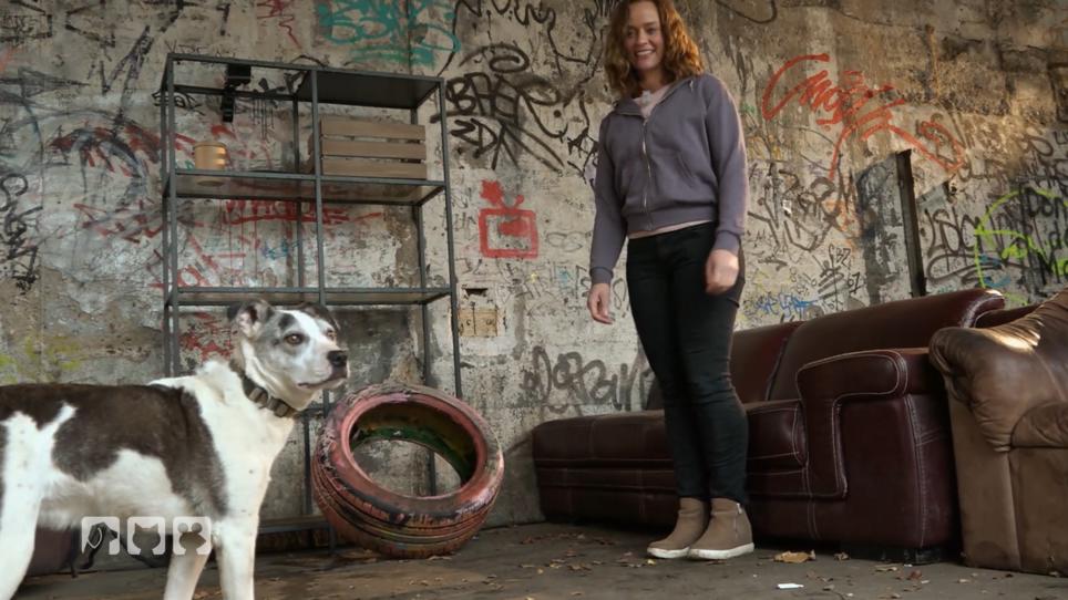 Kate bricht den Versuch mit Emma lieber ab Kate bricht den Versuch mit Emma lieber ab