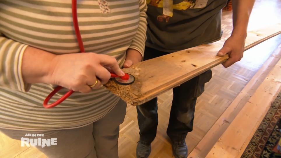 Mit Stethoskop auf Holzwurmjagd Mit Stethoskop auf Holzwurmjagd