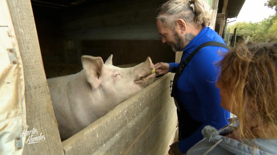 Wie sollen alle Tiere transportiert werden? Wie sollen alle Tiere transportiert werden?