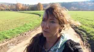 Felicia nimmt meist Tiere vom Amtstierarzt auf Felicia nimmt meist Tiere vom Amtstierarzt auf