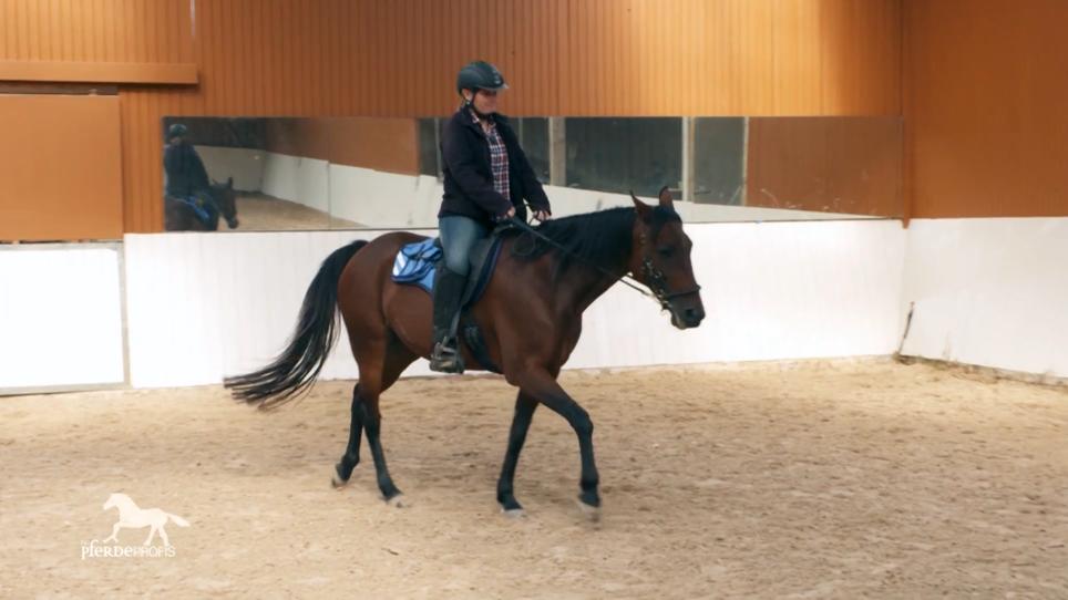 Marie muss lernen, ein Reitpferd zu sein Marie muss lernen, ein Reitpferd zu sein