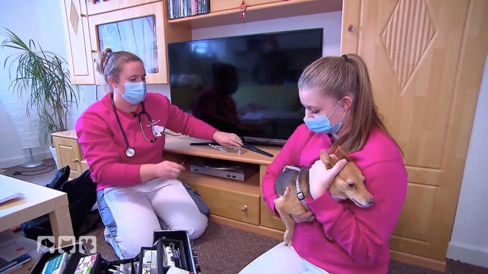 Der mobile Tiernotdienst eilt zu Nala Der mobile Tiernotdienst eilt zu Nala