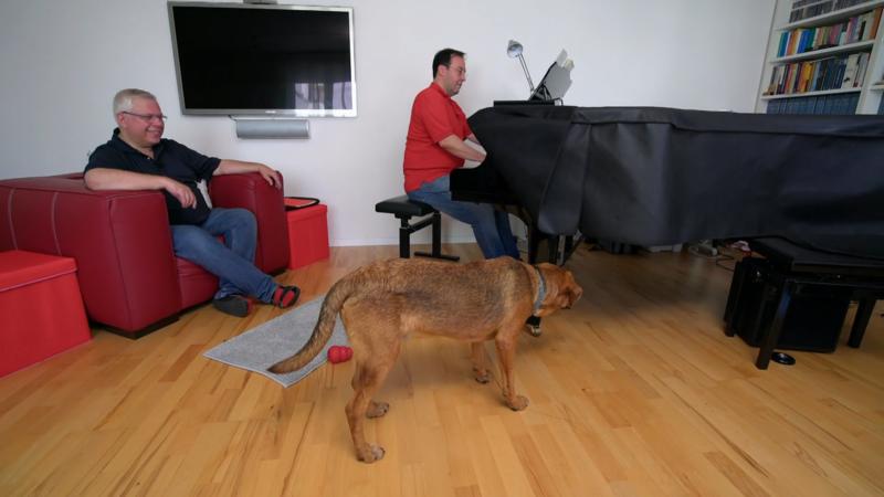 Karamello ist verunsichert vom Klavier