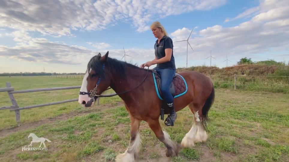 Katja Schnabel will Harry zum ersten Mal reiten Katja Schnabel will Harry zum ersten Mal reiten
