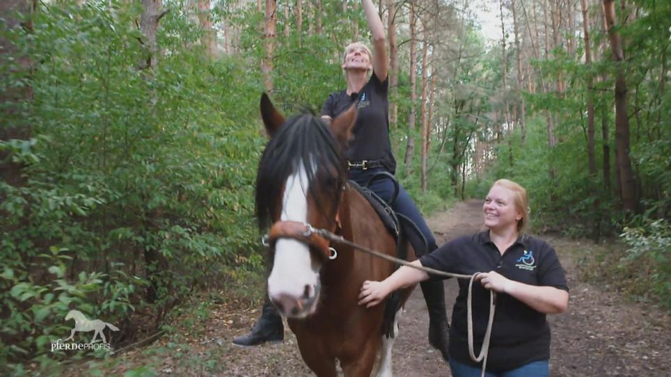Ist das Shire Horse bereit für die Therapie? Ist das Shire Horse bereit für die Therapie?